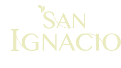 Fundación San Ignacio